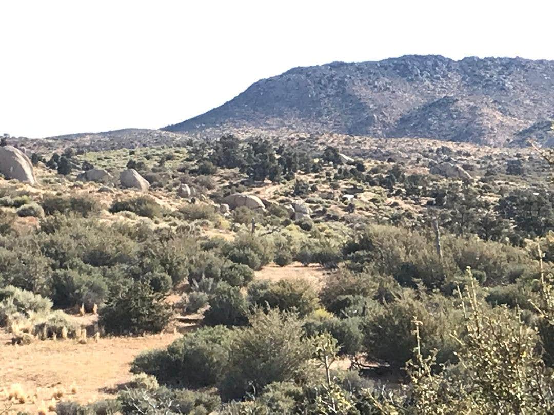 Camper-submitted photo at Deep Creek Hot Springs Camp Retreat near Cedarpines Park, CA