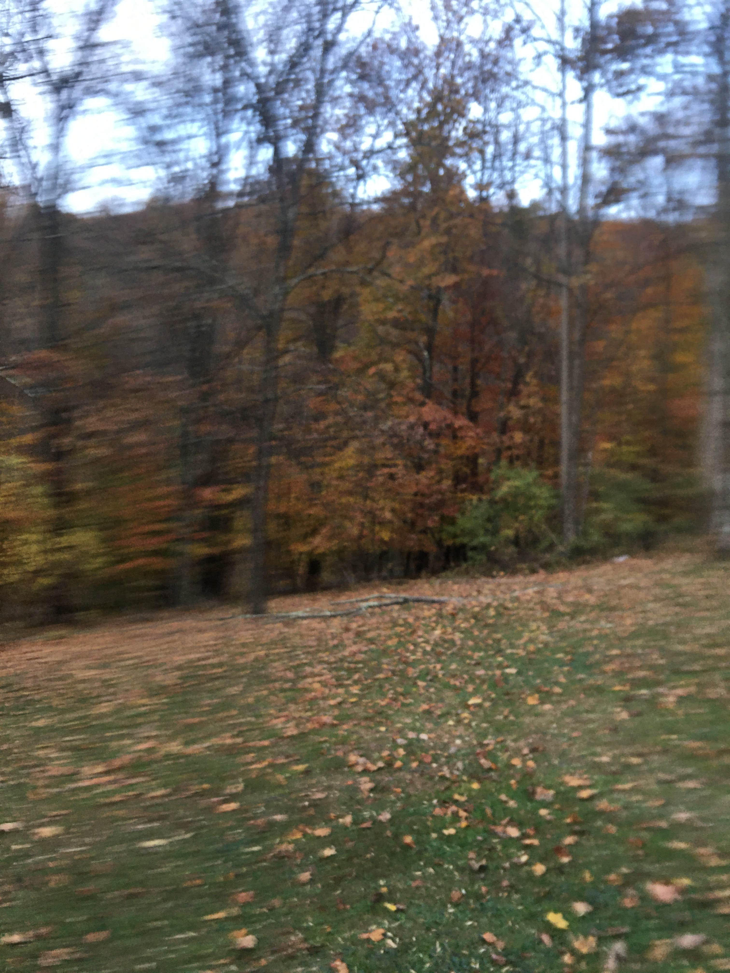 Camper-submitted photo at Hill Church Getaway near Pottstown, PA