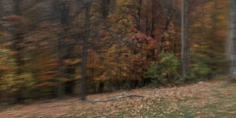 Camper submitted image from Hill Church Getaway