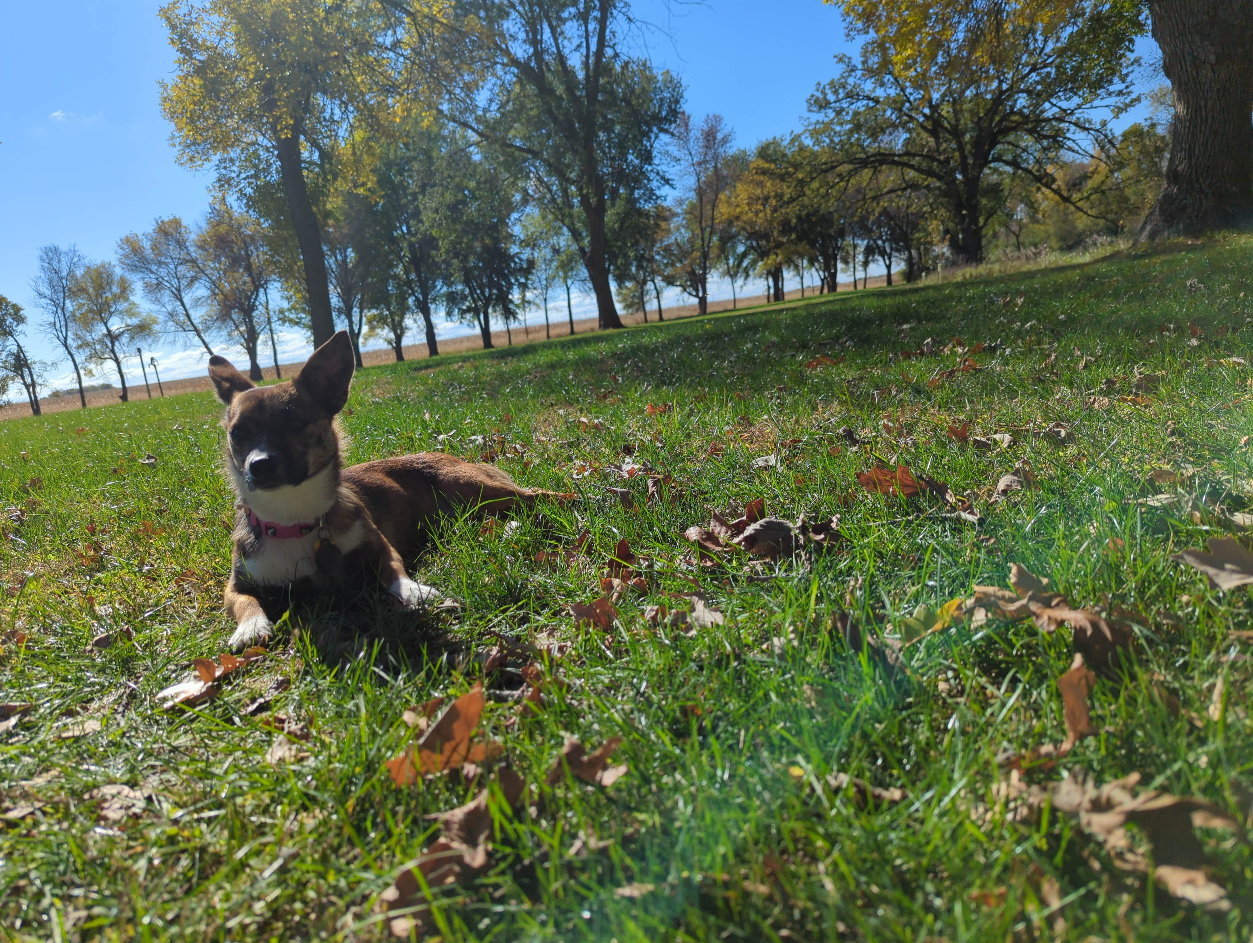 Camper-submitted photo at Oraas County Park near Granite Falls, MN