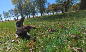 Eric H.'s photo of camping with pets at Oraas County Park near Dawson, MN