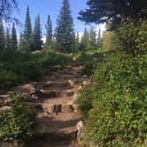 Review photo of Jenny Lake Campground — Grand Teton National Park by Alison C., October 31, 2018