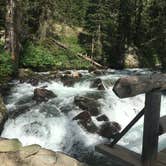 Review photo of Jenny Lake Campground — Grand Teton National Park by Alison C., October 31, 2018