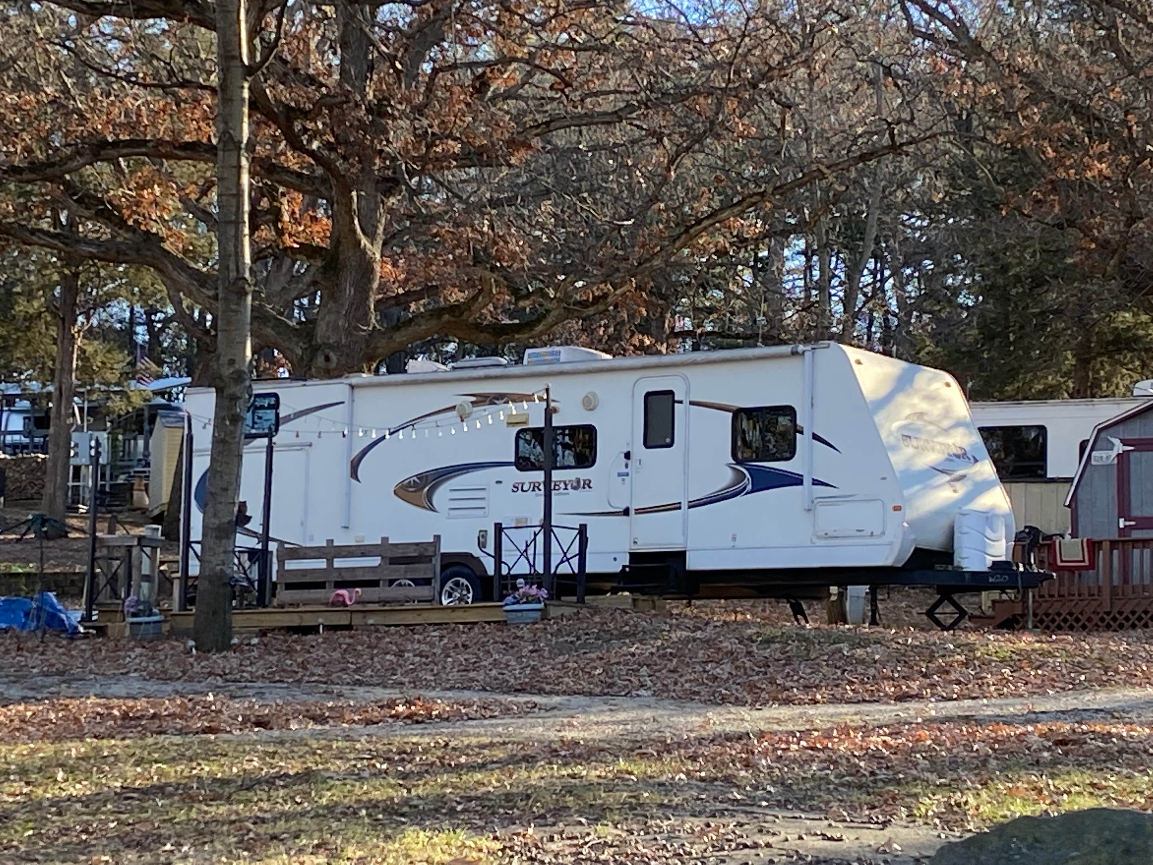 Camper submitted image from Pilgrims Campground - 5