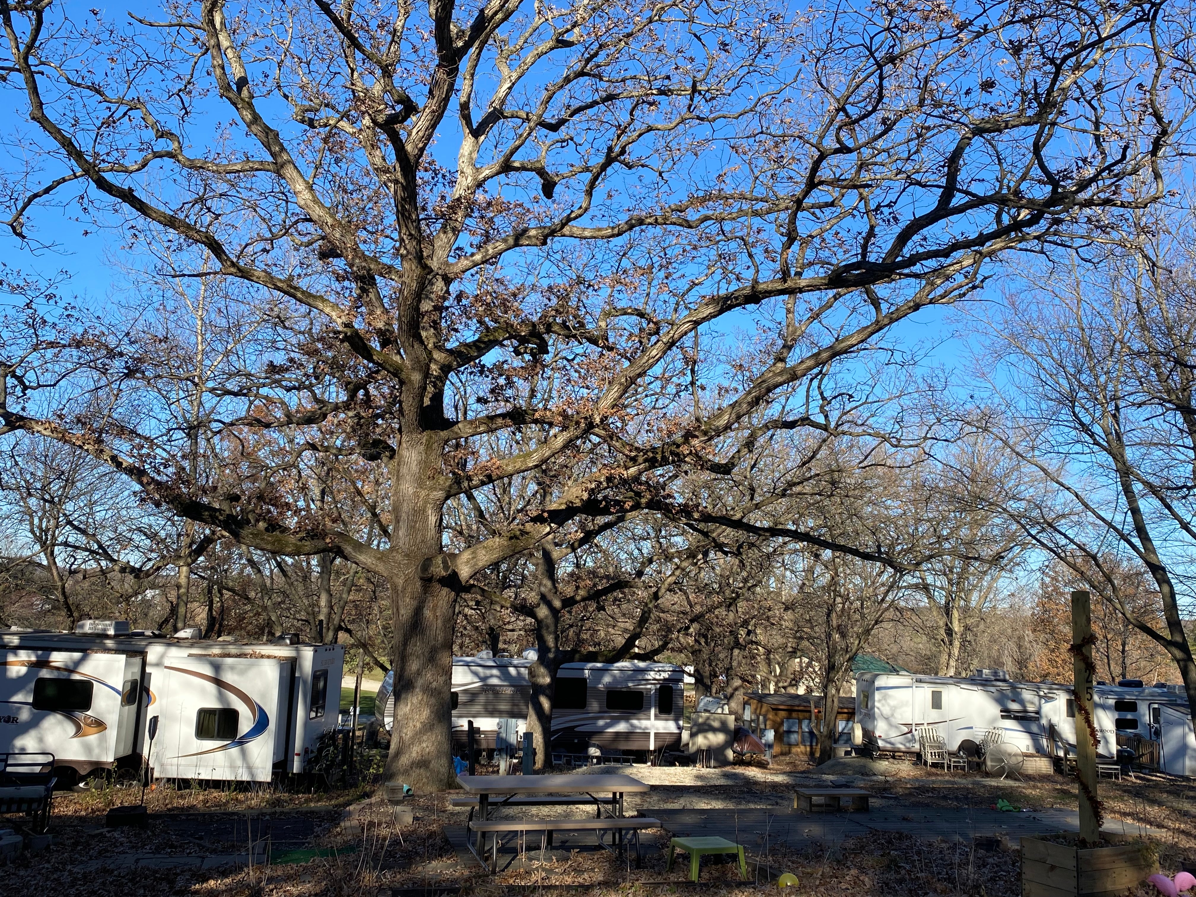 Camper submitted image from Pilgrims Campground - 1
