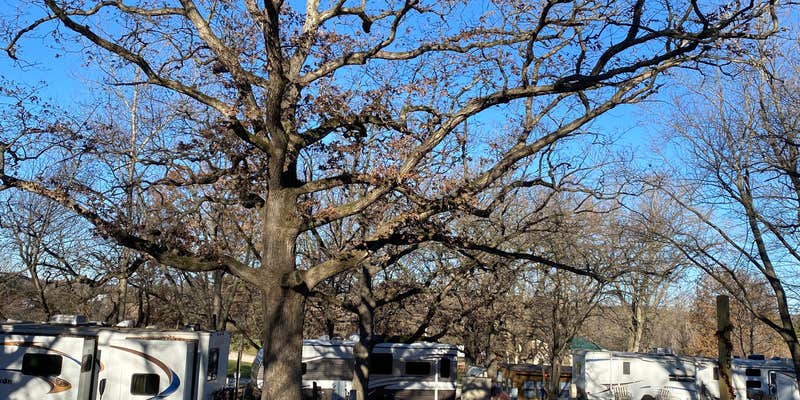 Camper submitted image from Pilgrims Campground