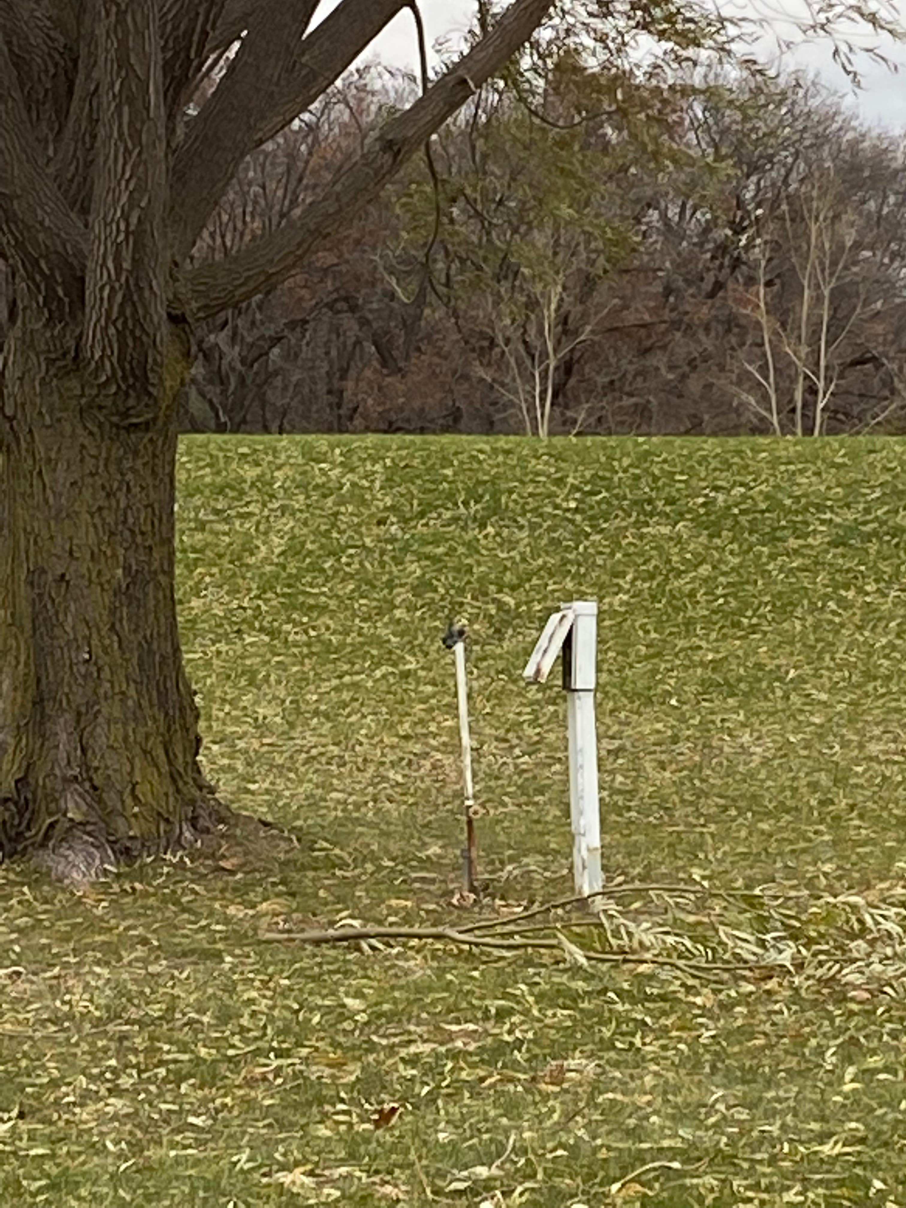 Camper-submitted photo at Mendota Hills Campground near Shabbona, IL