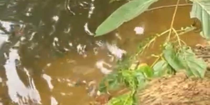 Camper submitted image from Campers Delight OFF THE GRID LIVING