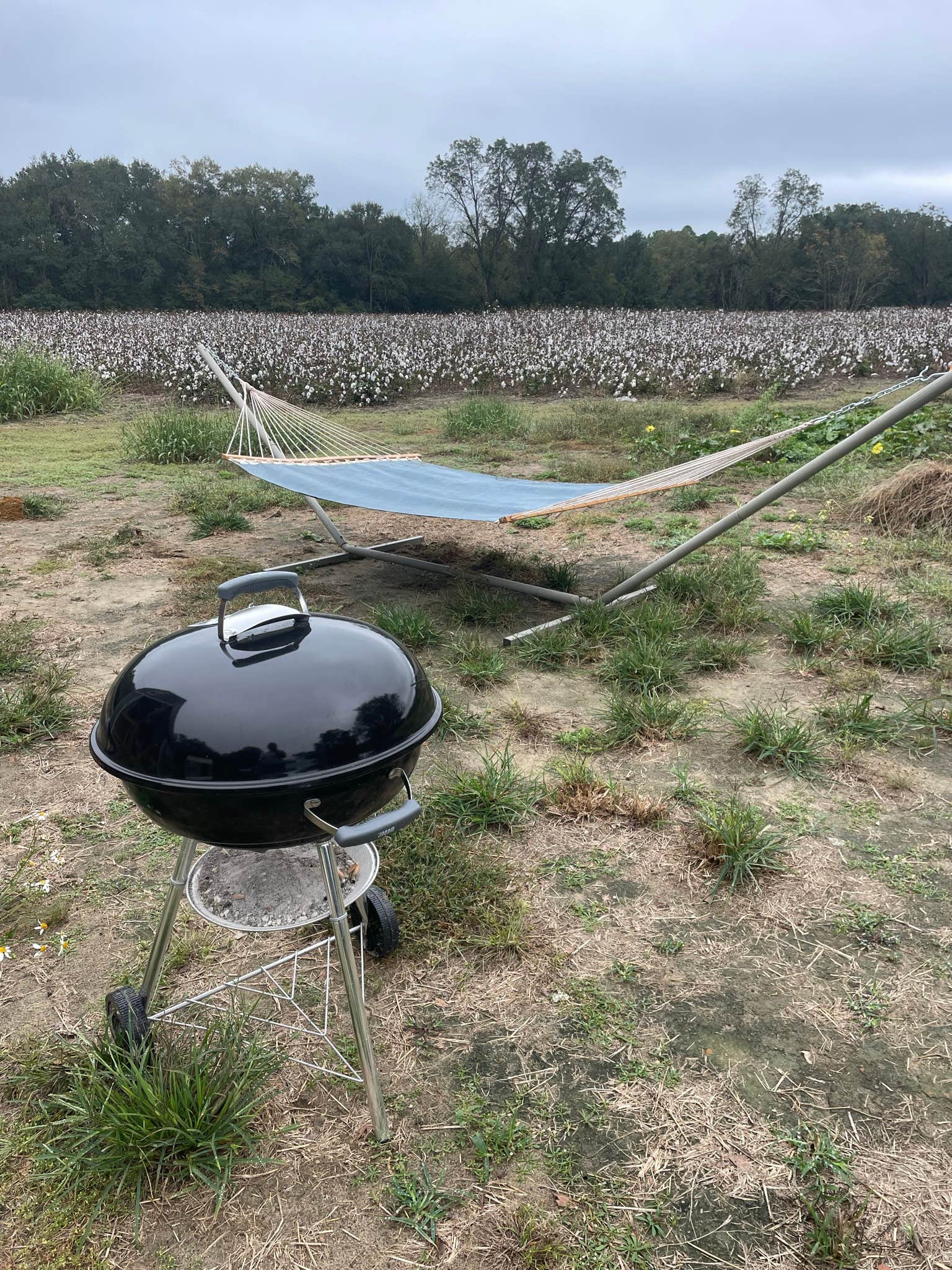 Camper-submitted photo at Campers Delight OFF THE GRID LIVING near Cairo, GA