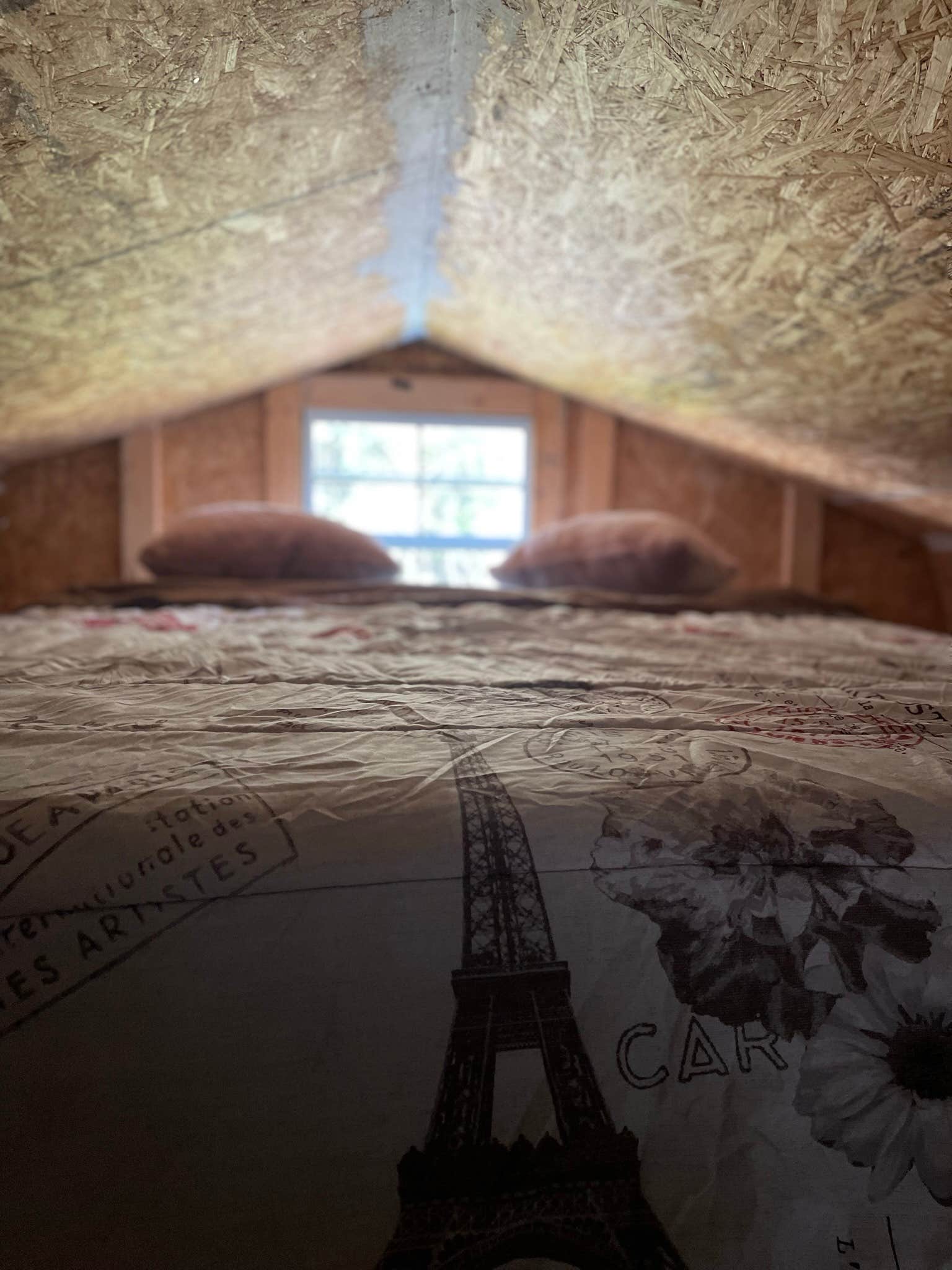 Camper-submitted photo at Campers Delight OFF THE GRID LIVING near Cairo, GA