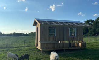 Natalia P.'s photo of camping with pets at Heavenly Hills Nature Retreat near Limestone, TN