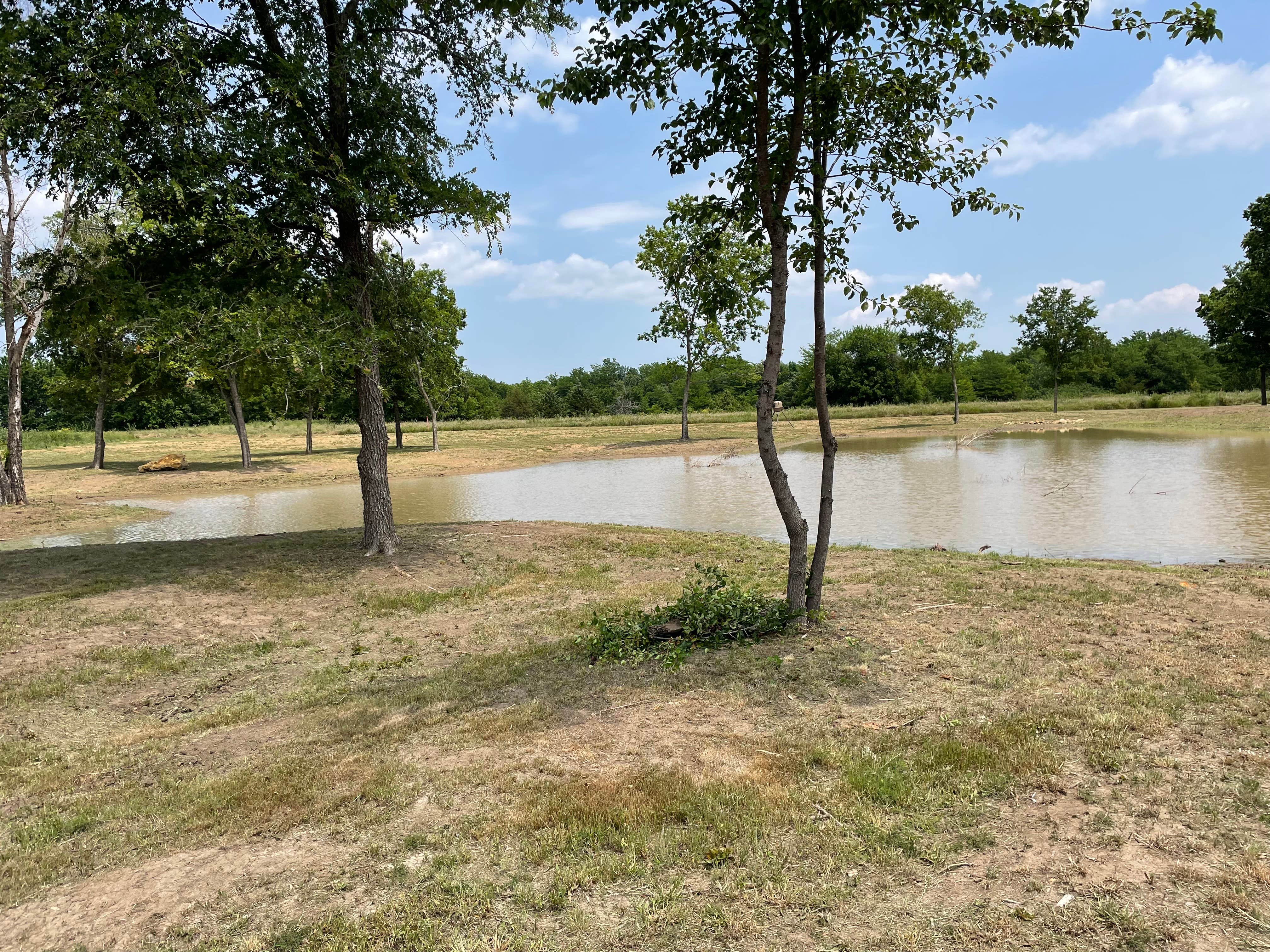 Camper-submitted photo at Horseshoe Acres RV Park near Davis, OK