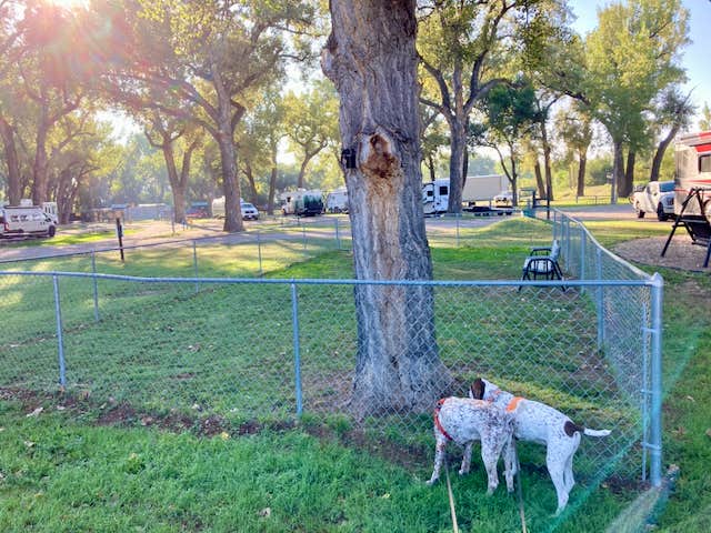 MickandKarla W.'s photo of camping with pets at Miles City KOA near Miles City, MT