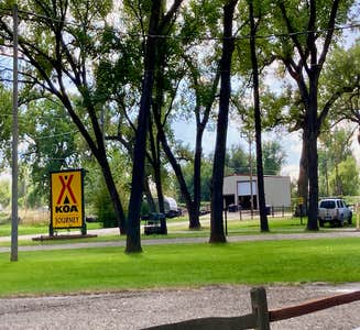 Camper-submitted photo from Miles City KOA
