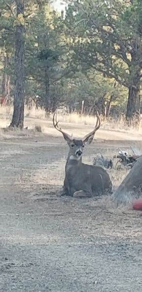 Camper-submitted photo at Camp Freedom near Alturas, CA
