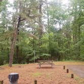 Review photo of Rusk Depot Campground by timothy G., October 17, 2023