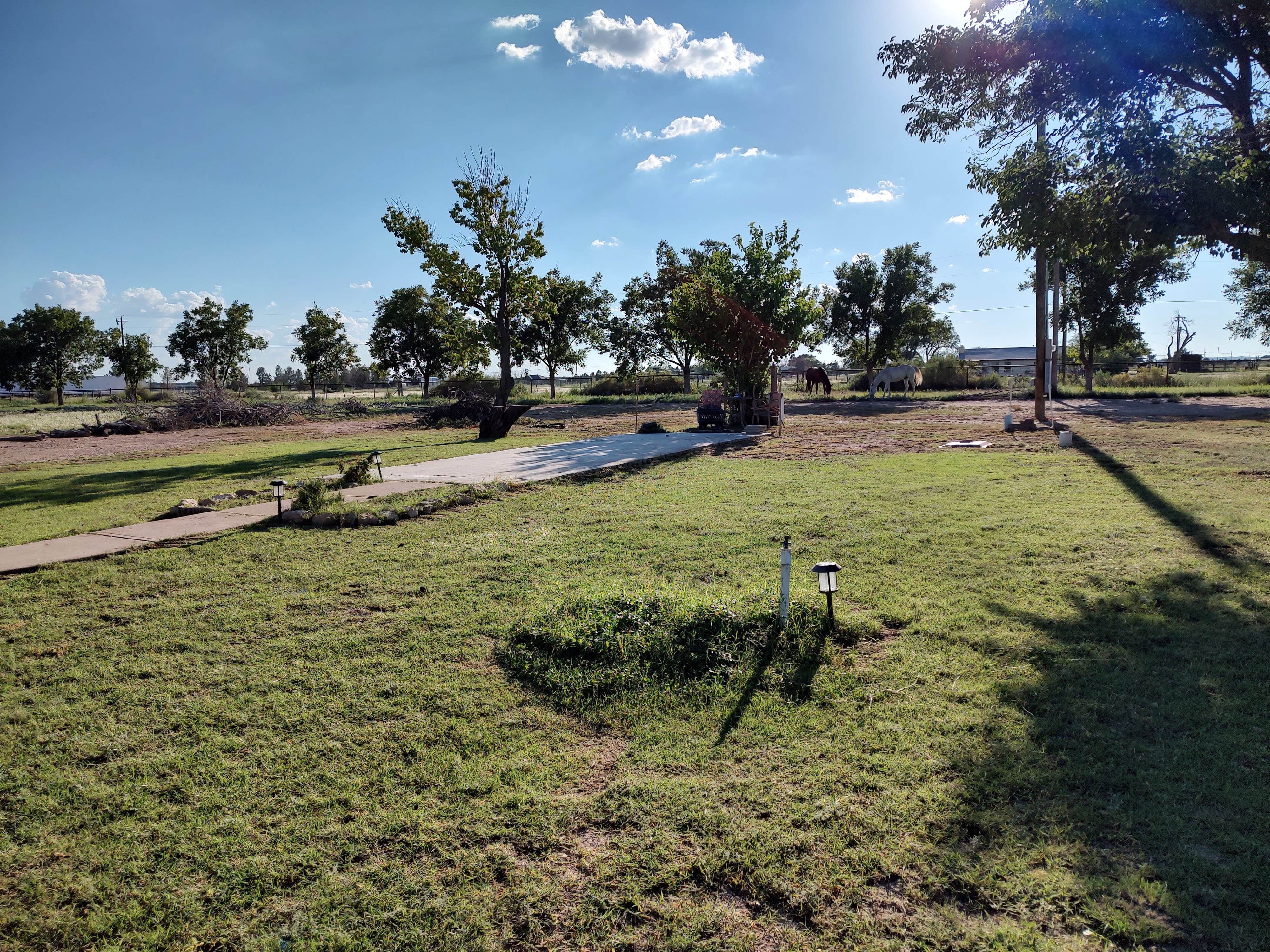 Camper-submitted photo at Desert Rose Stopover near Roswell, NM