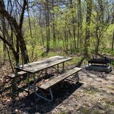 Review photo of Rock Cut State Park - Staghorn Campground by Stuart K., October 17, 2023