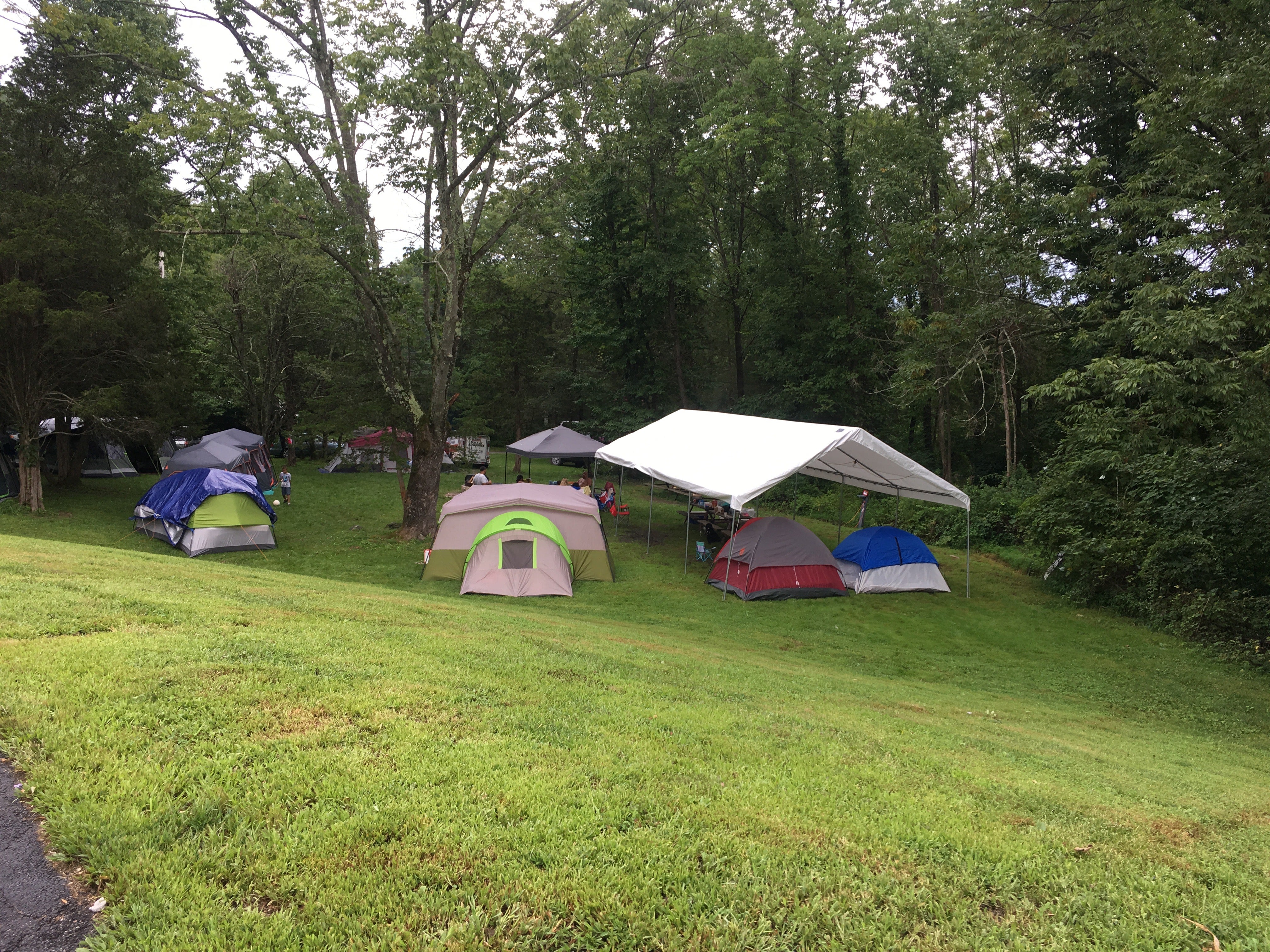 Camper submitted image from Harmony Ridge Farm & Campgrounds - 4