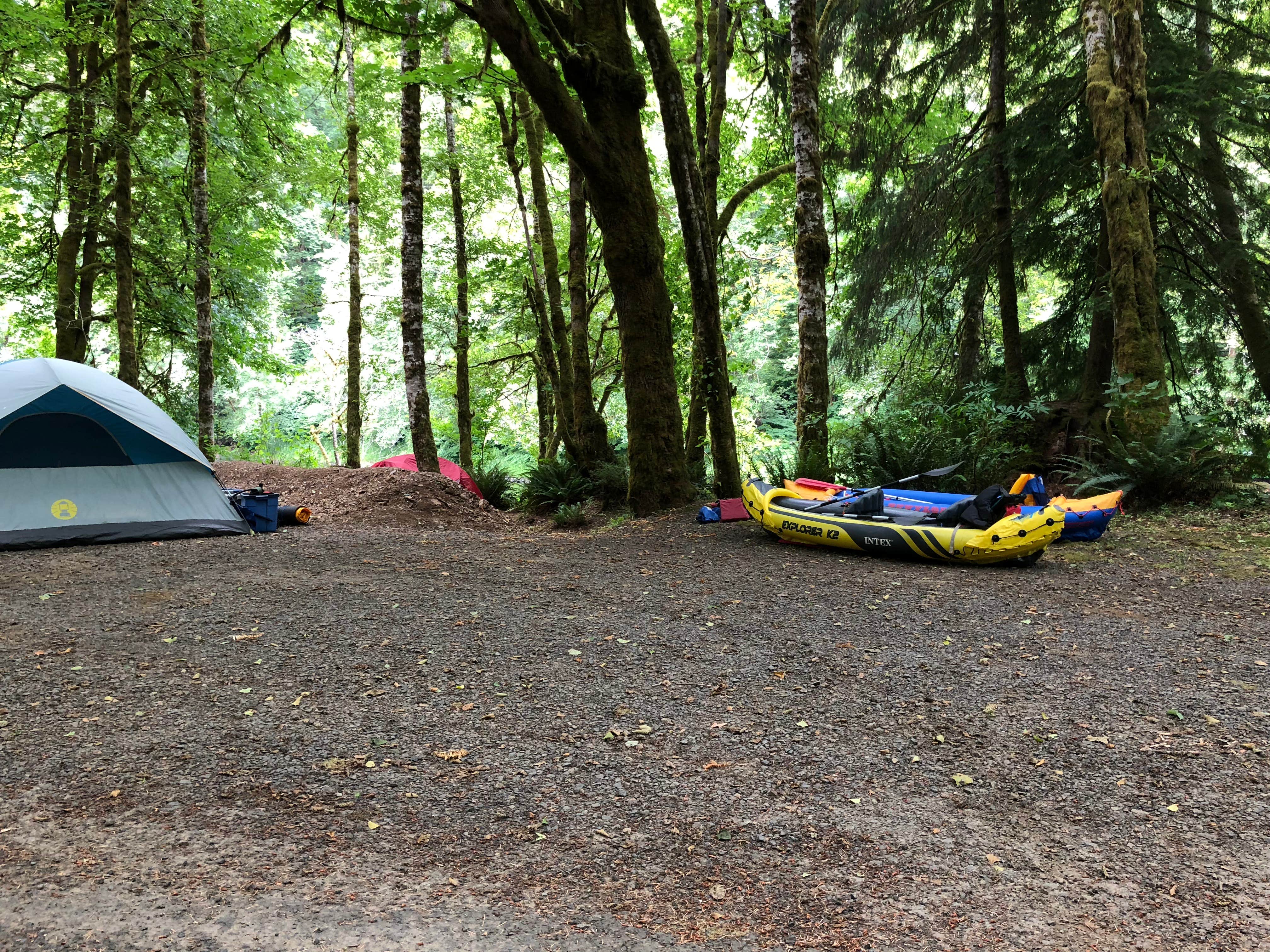 Corinna B.'s photo of tent camping at Beaver Eddy near Woodland, WA