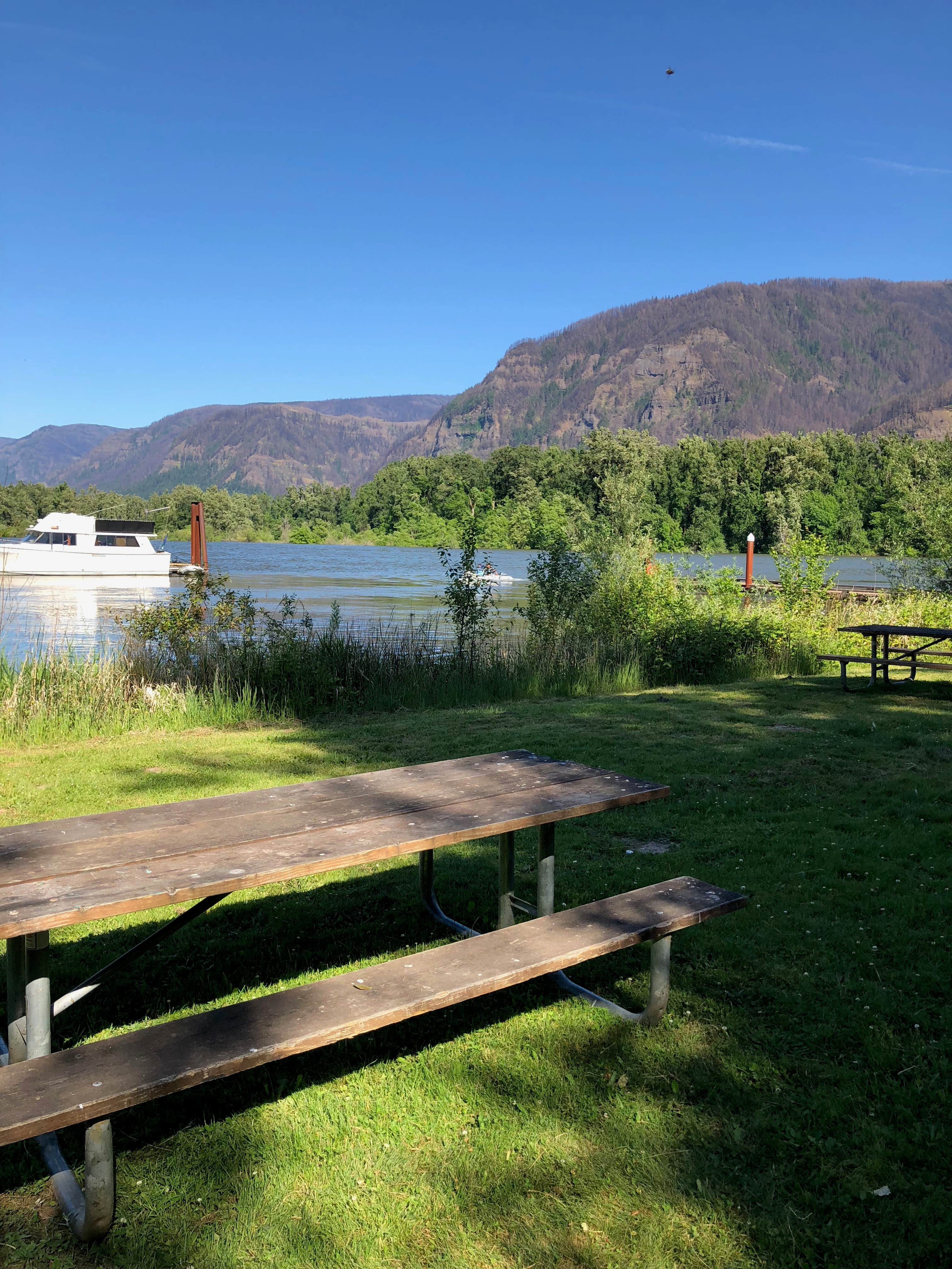 Camper submitted image from Moorage Camp and Boat Launch — Beacon Rock State Park - 4