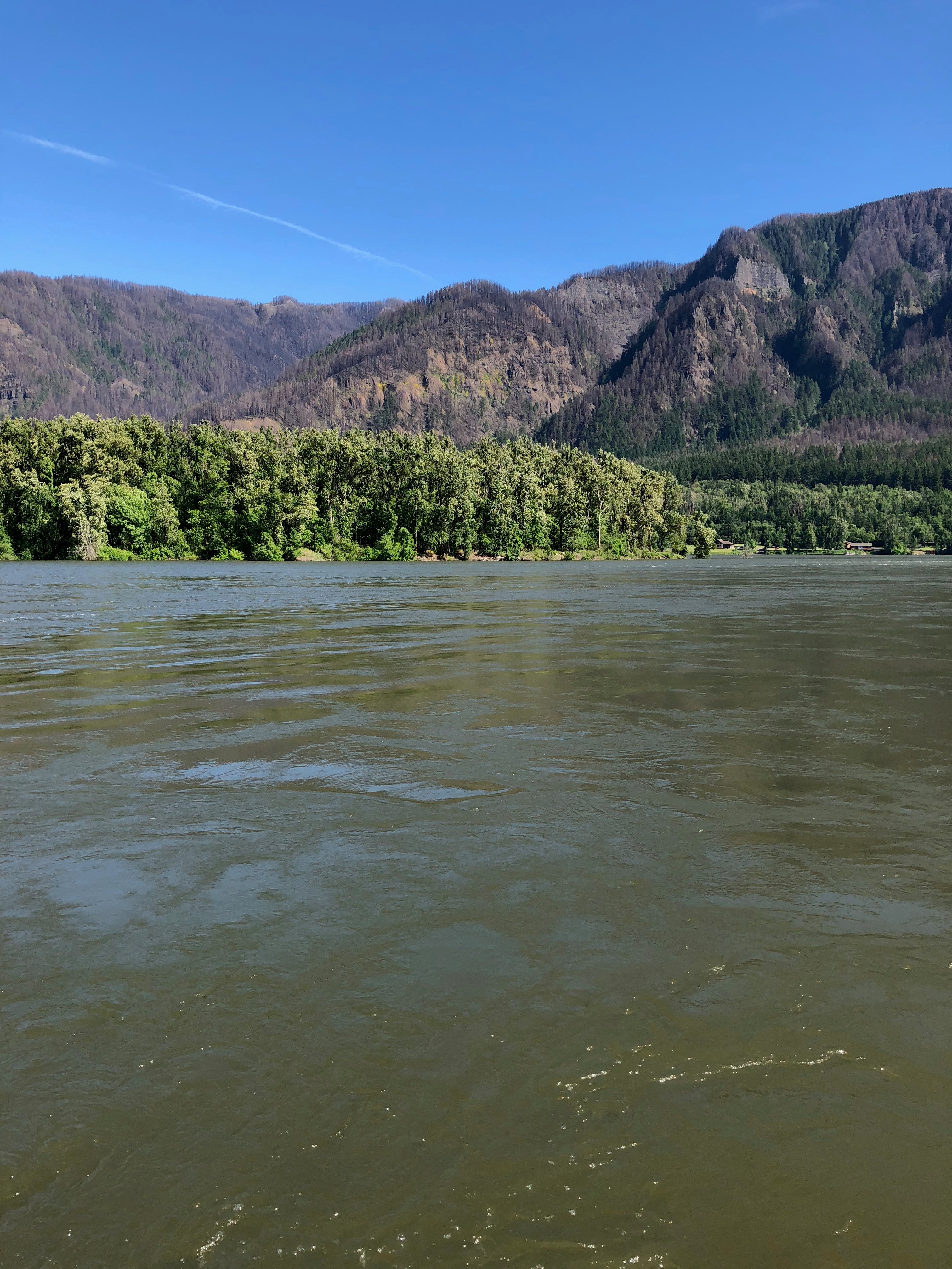Camper submitted image from Moorage Camp and Boat Launch — Beacon Rock State Park - 5