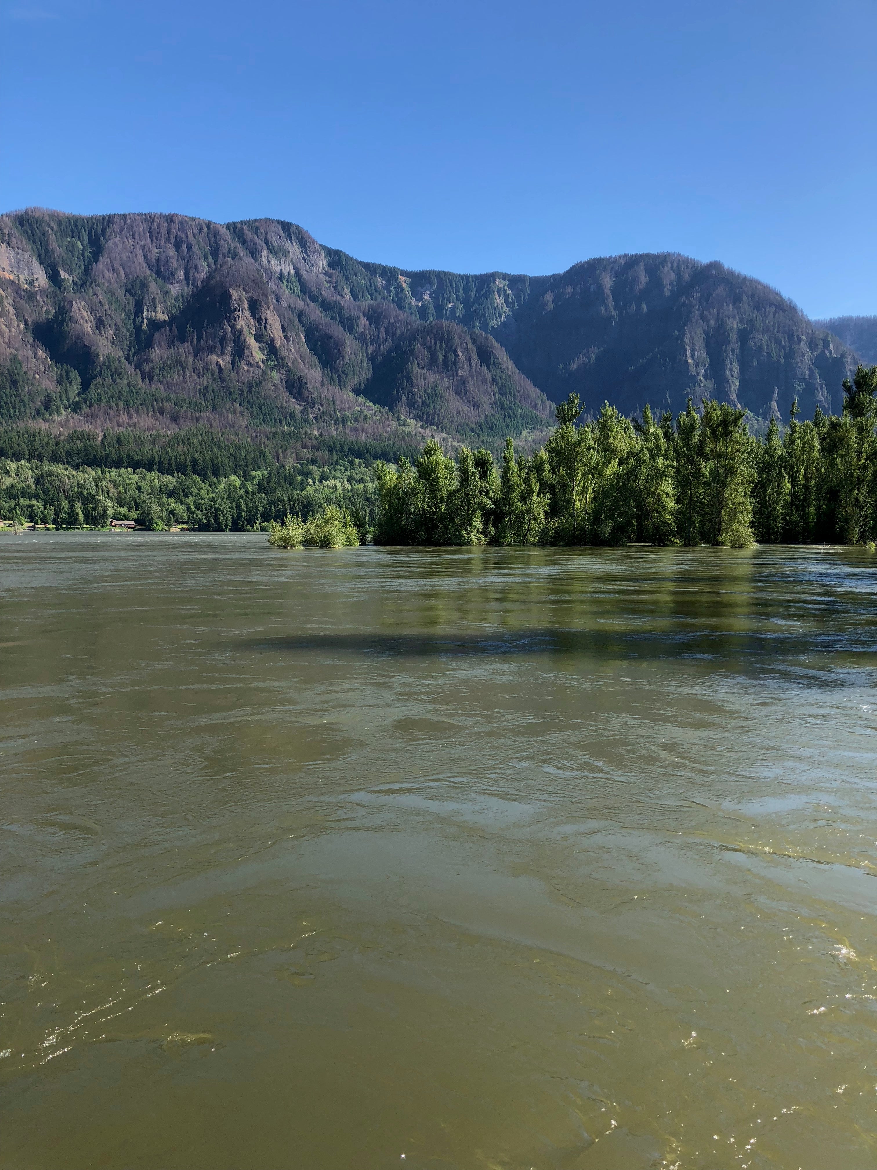 Camper submitted image from Moorage Camp and Boat Launch — Beacon Rock State Park - 2