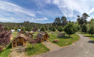 The Dyrt's photo of a cabin at Redwood Coast Cabins & RV Resort near Essex, CA