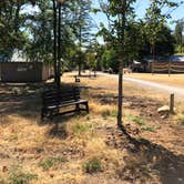 Review photo of Lewis River Campground Community of Christ by Brian C., August 27, 2018