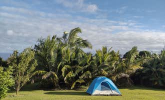 Camping near The Hippocampus of Pueo Ridge: Uka Hawaiian Native Camp, Haleakala National Park, Hawaii