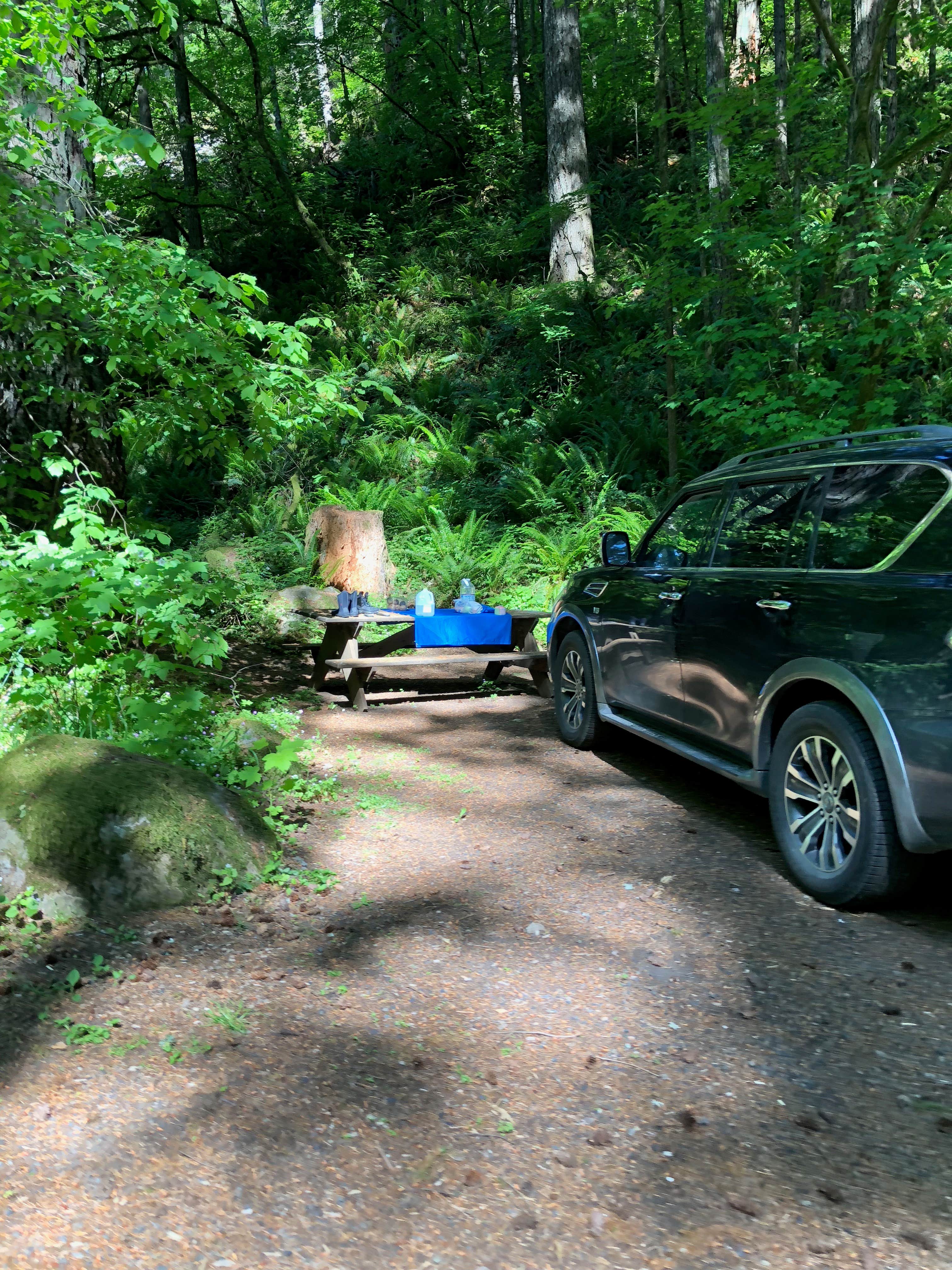 Camper submitted image from Beacon Rock State Park Campground - 4