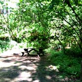 Review photo of Beacon Rock State Park Campground by Brian C., August 27, 2018