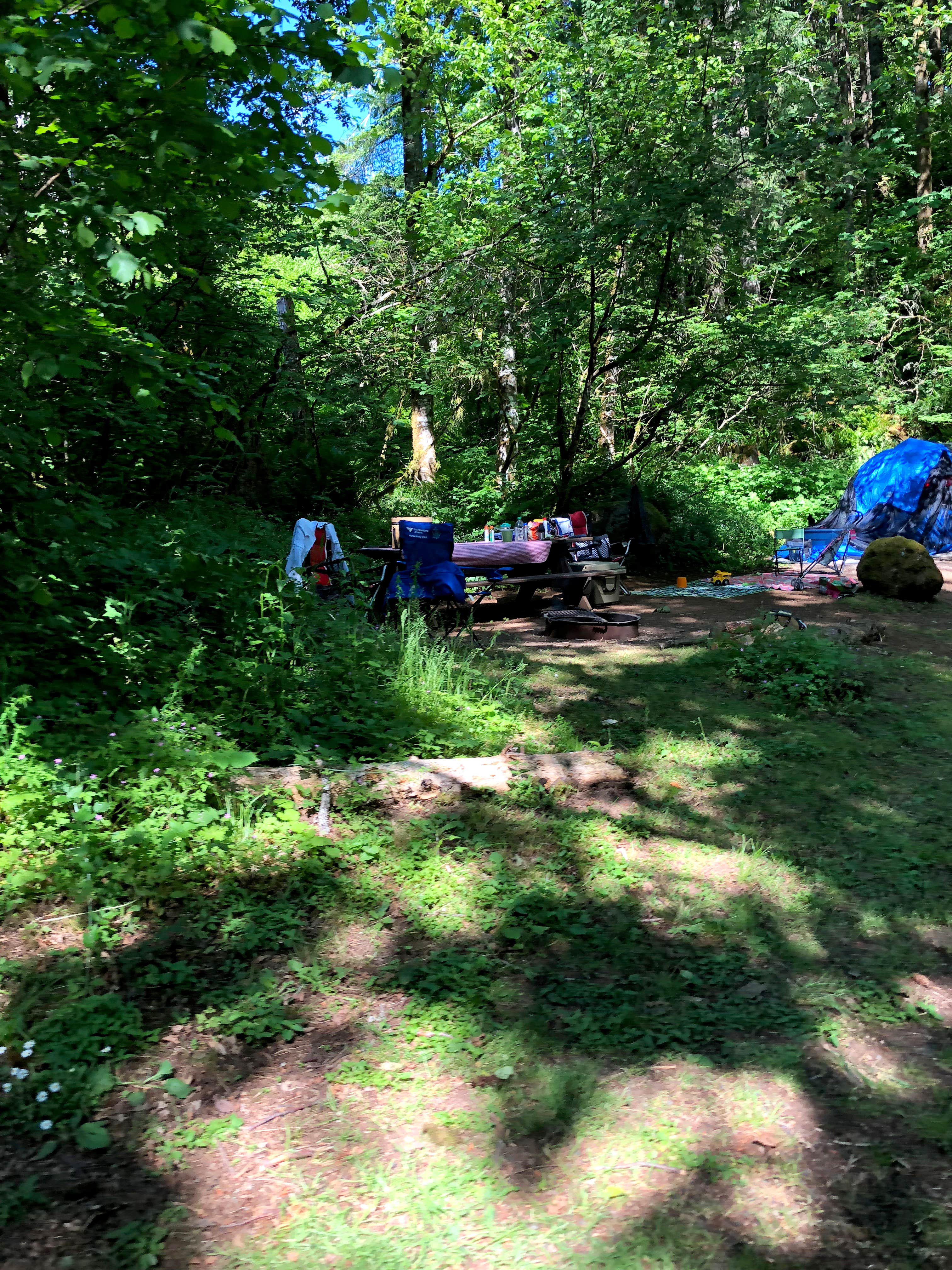 Brian C.'s photo at Upper Campground — Beacon Rock State Park near Corbett, OR