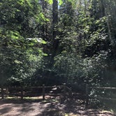 Review photo of Beacon Rock State Park Campground by Brian C., August 27, 2018