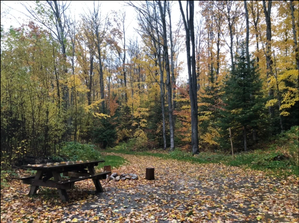 Camping near South Manistique Lake State Forest Campground: Neat UP Retreat, Newberry, Michigan