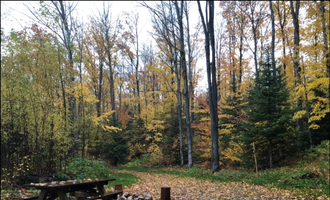 Camping near Black River State Forest Campground: Neat UP Retreat, Newberry, Michigan
