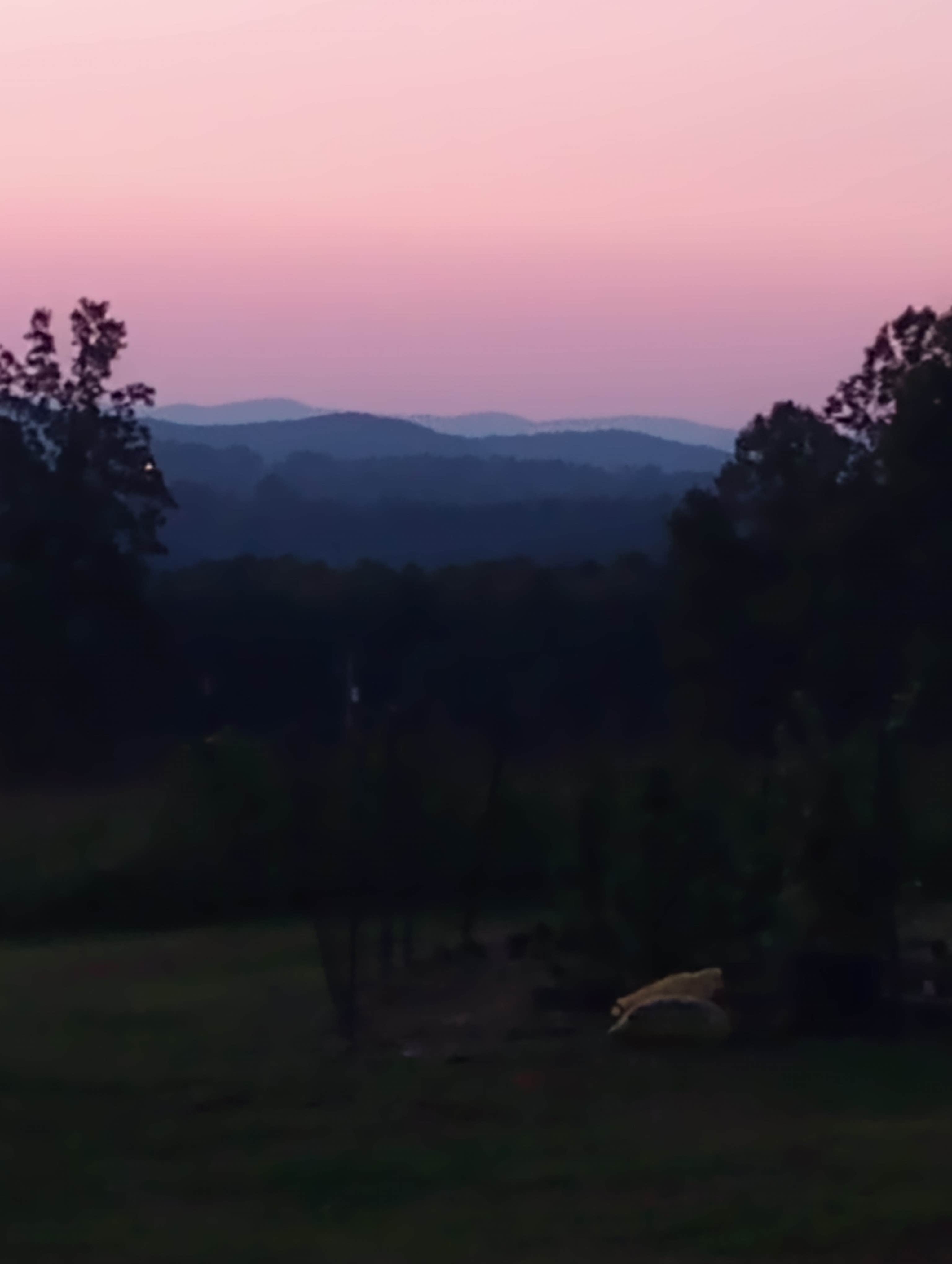 Camper-submitted photo at Pop's Place in the Blue Ridge near Eden, NC