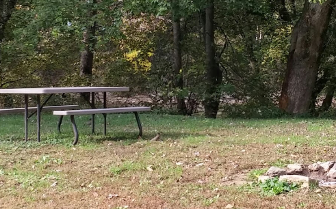 Camp Nelson RV Park photo 3