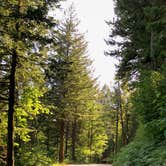 Review photo of Beacon Rock State Park Group Campground — Beacon Rock State Park by Brian C., August 27, 2018