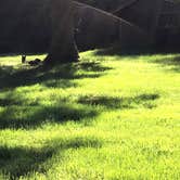 Review photo of Beacon Rock State Park Group Campground — Beacon Rock State Park by Brian C., August 27, 2018