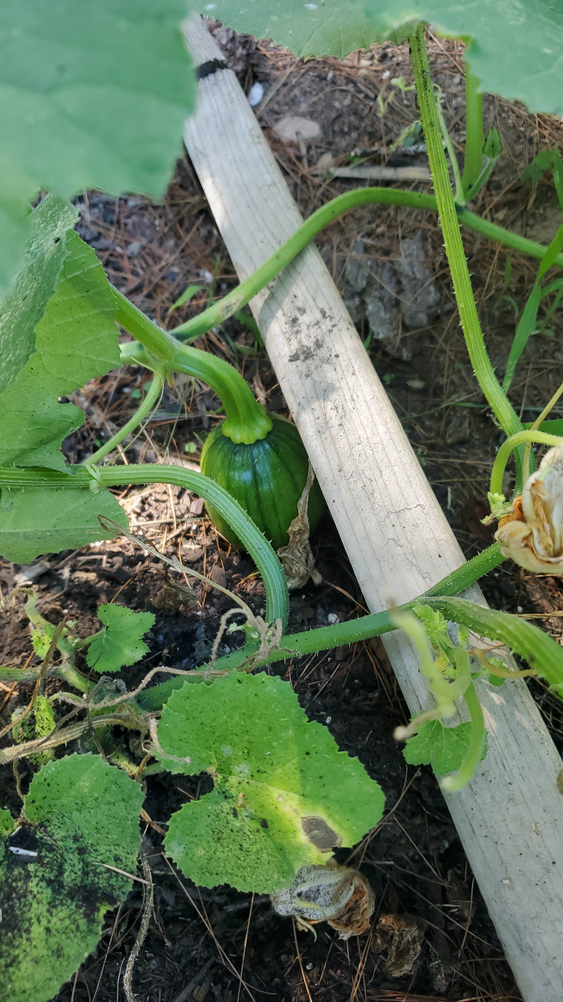 Camper-submitted photo at O Land near New Berlin, NY