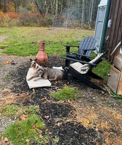 Raul D.'s photo of camping with pets at O Land near Binghamton, NY