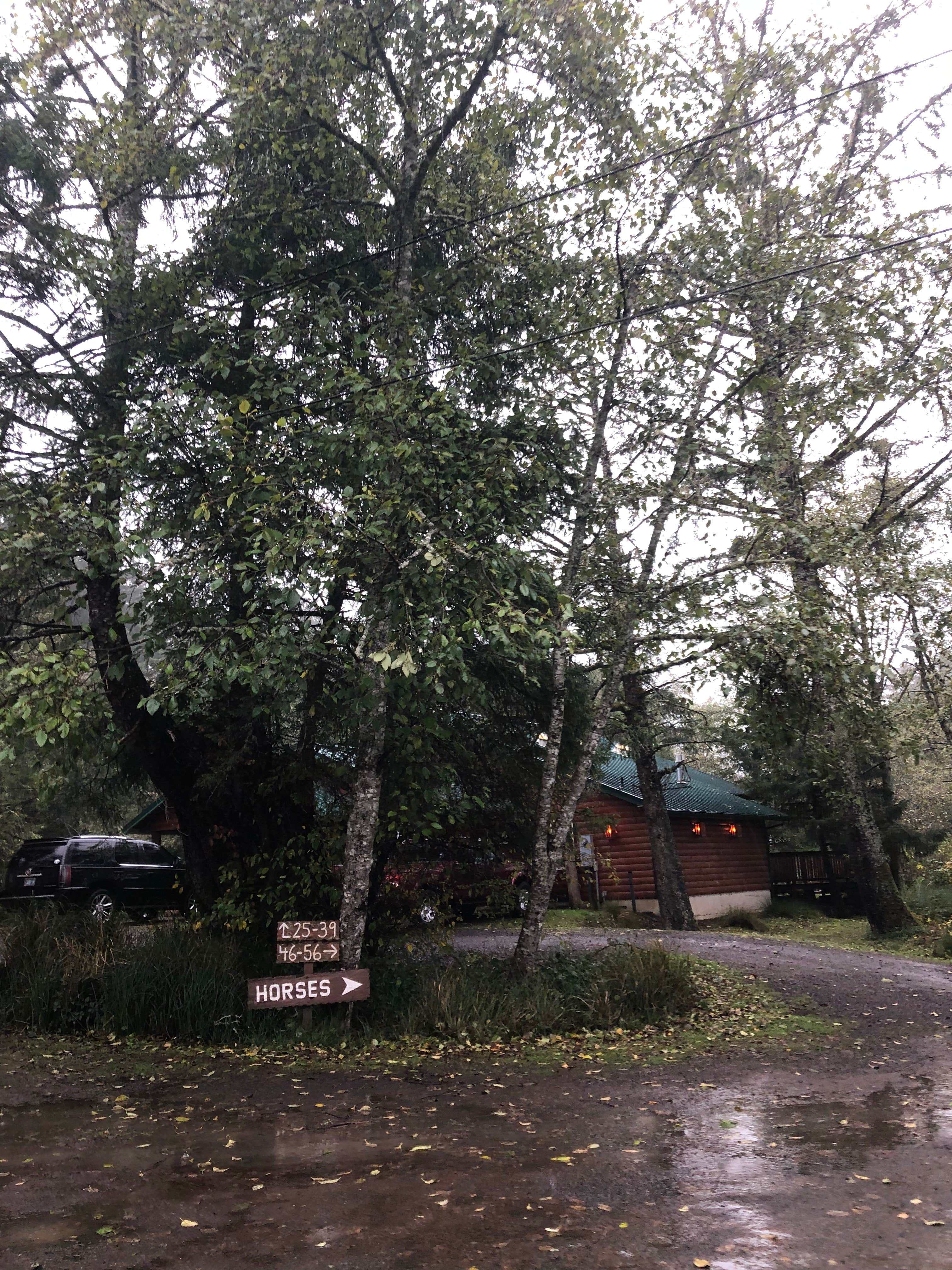 Alicia F.'s photo of a cabin at Sea Ranch Resort near Tolovana Park, OR