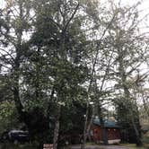 Review photo of Sea Ranch Resort by Alicia F., October 31, 2018