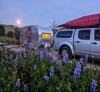 Camper-submitted photo from Chino Hills State Park Campground