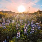 Review photo of Rolling M. Ranch Campground — Chino Hills State Park by Shari  G., October 20, 2023