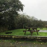 Review photo of Sea Ranch Resort by Alicia F., October 31, 2018