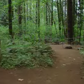 Review photo of Battle Ground Lake State Park Campground by Christy K., July 15, 2015