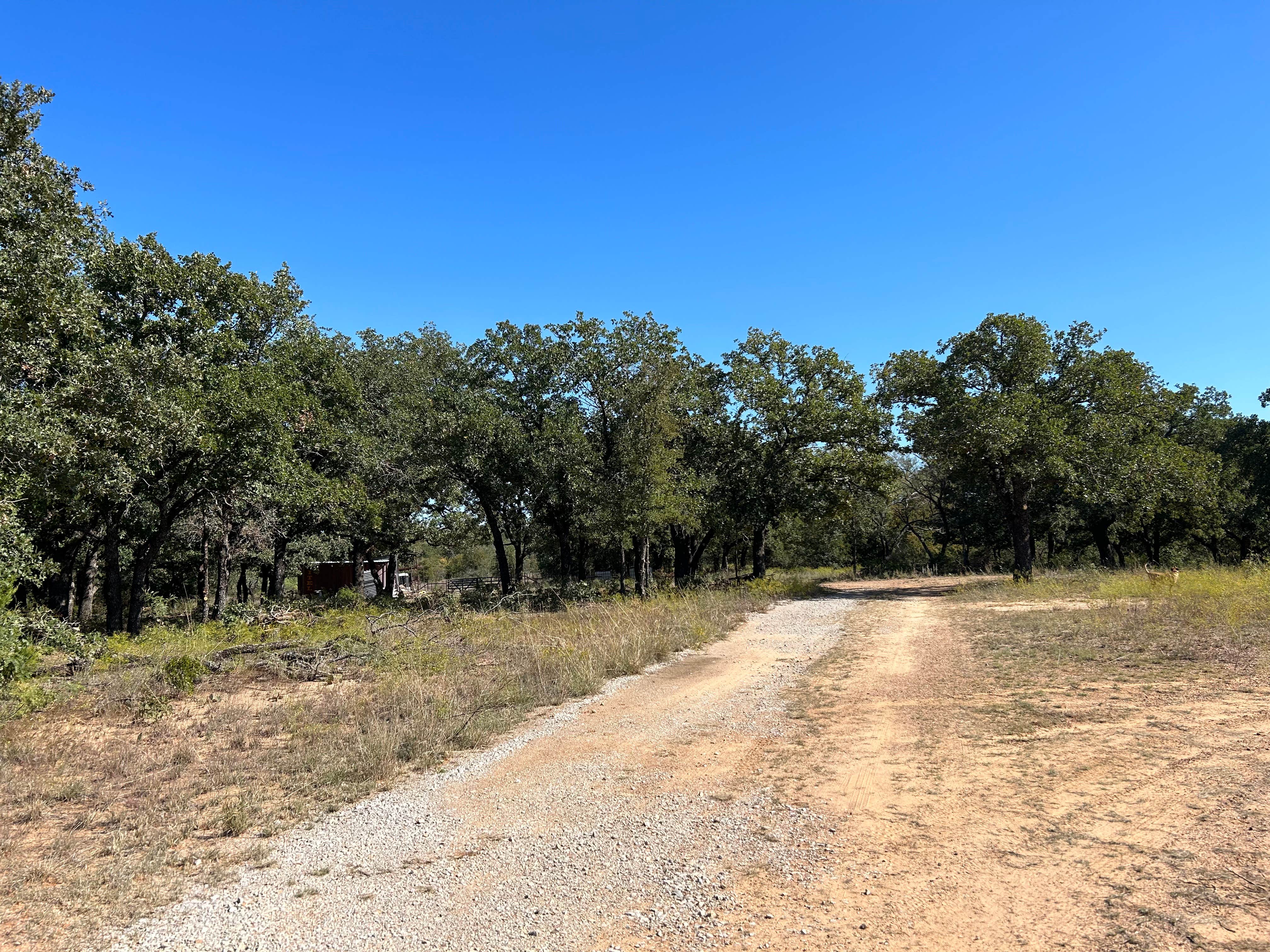 Camper-submitted photo at The River Bottom near Dublin, TX
