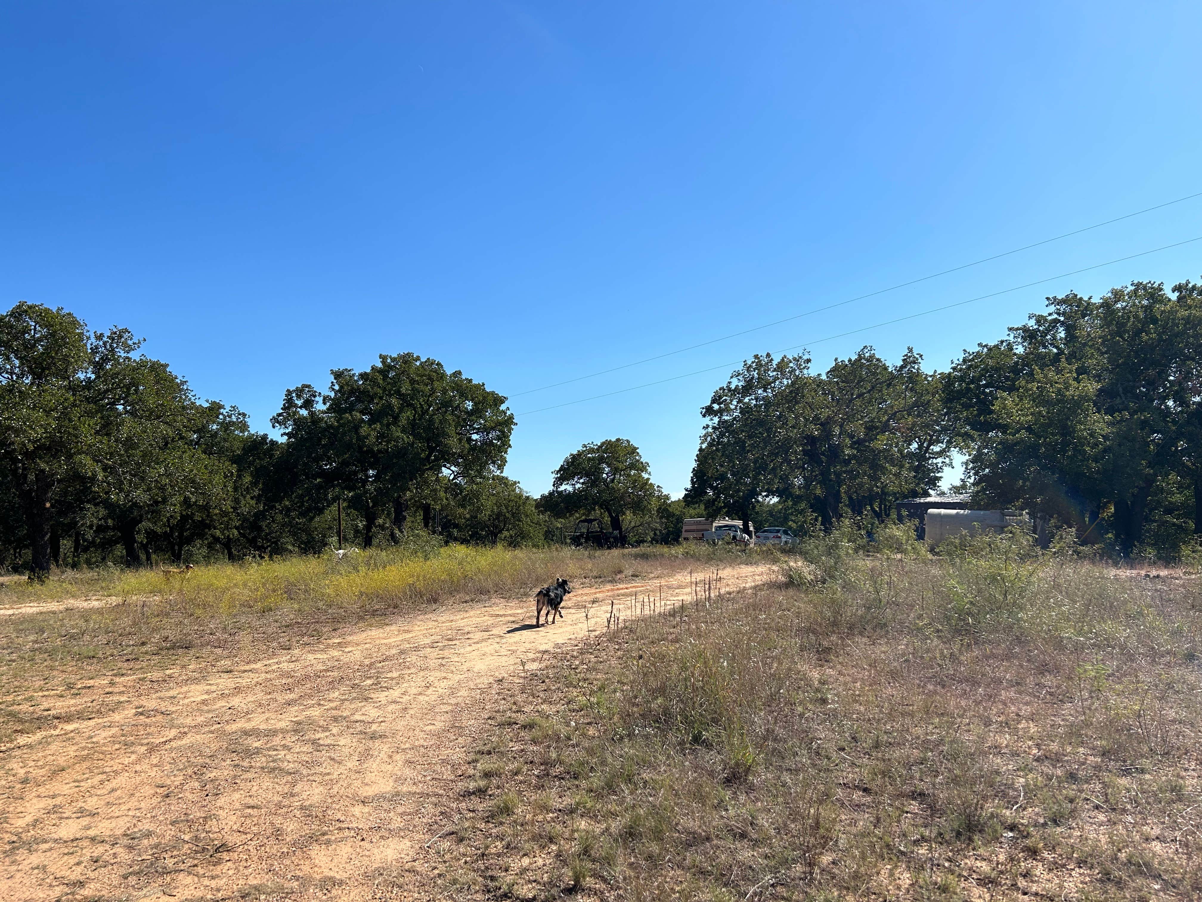 Audrey G.'s photo of camping with pets at The River Bottom near Dublin, TX